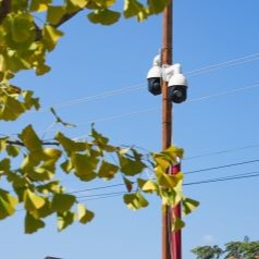 ChorusPartenerDahua-imagine