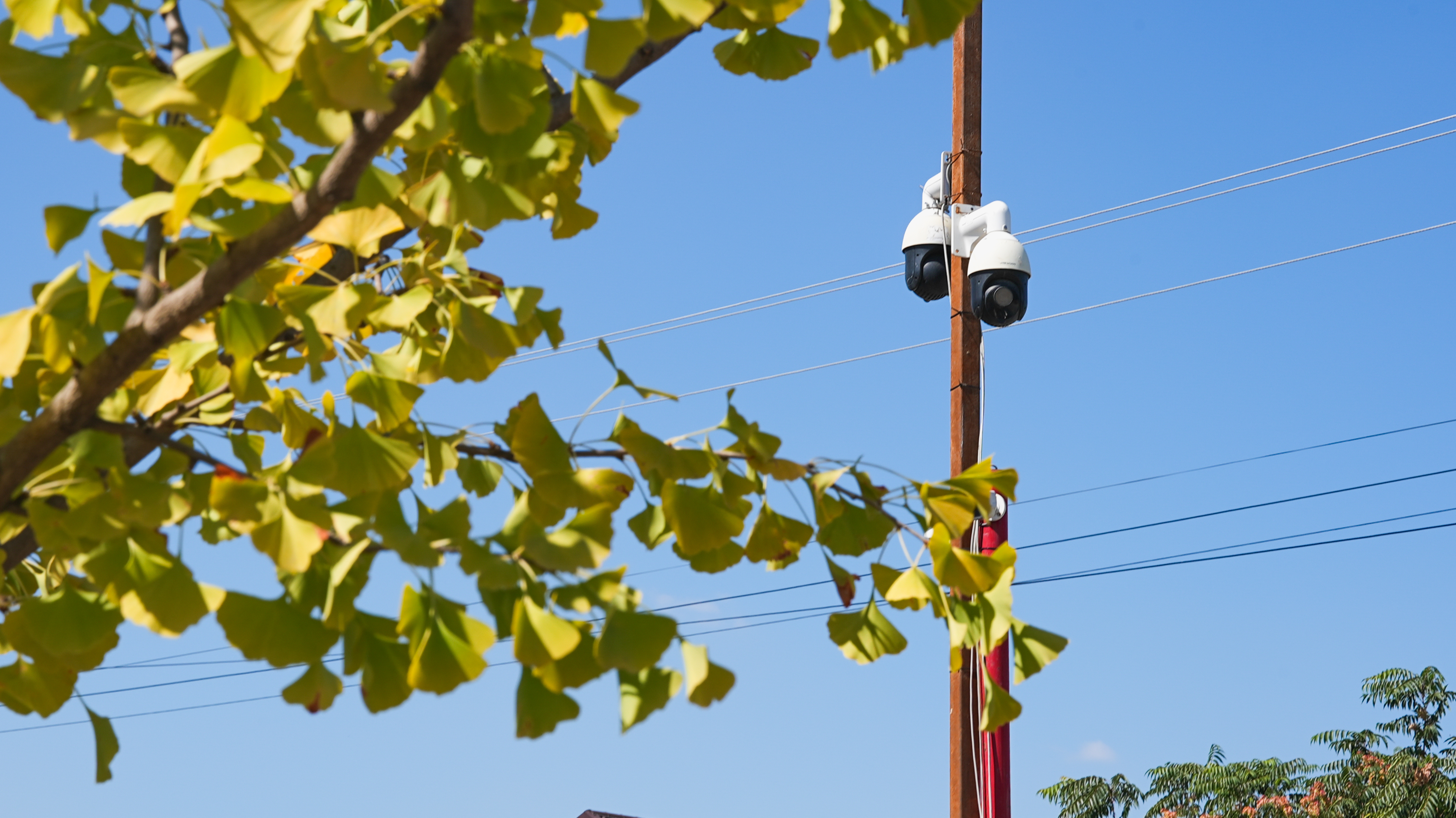 Snagov Green & Clean – Safe & Smart City